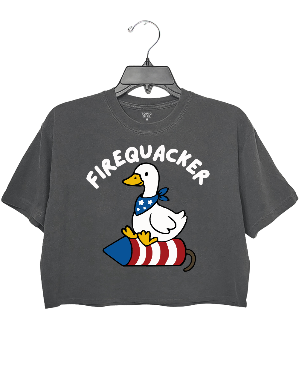 Embroidered Silly Goose 4th of July Crop Top