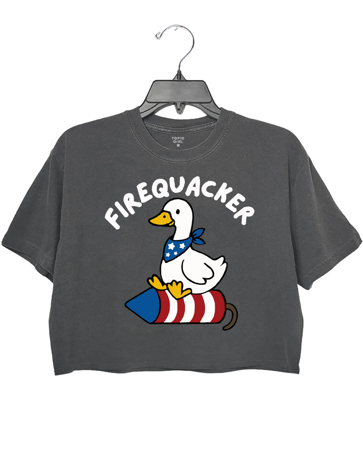 Embroidered Silly Goose 4th of July Crop Top