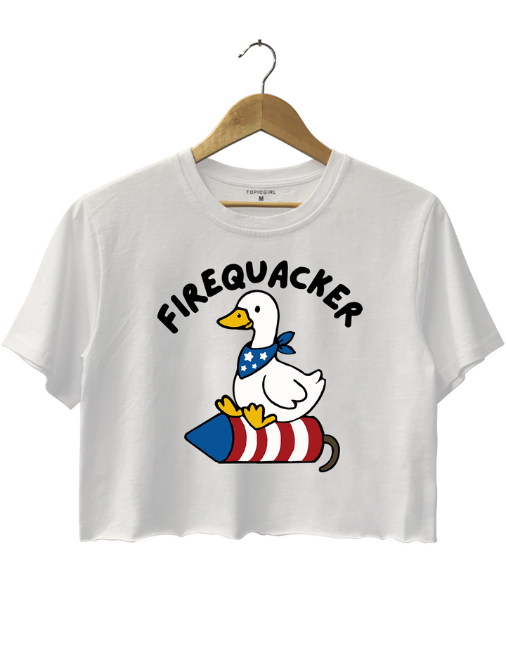 Embroidered Silly Goose 4th of July Crop Top
