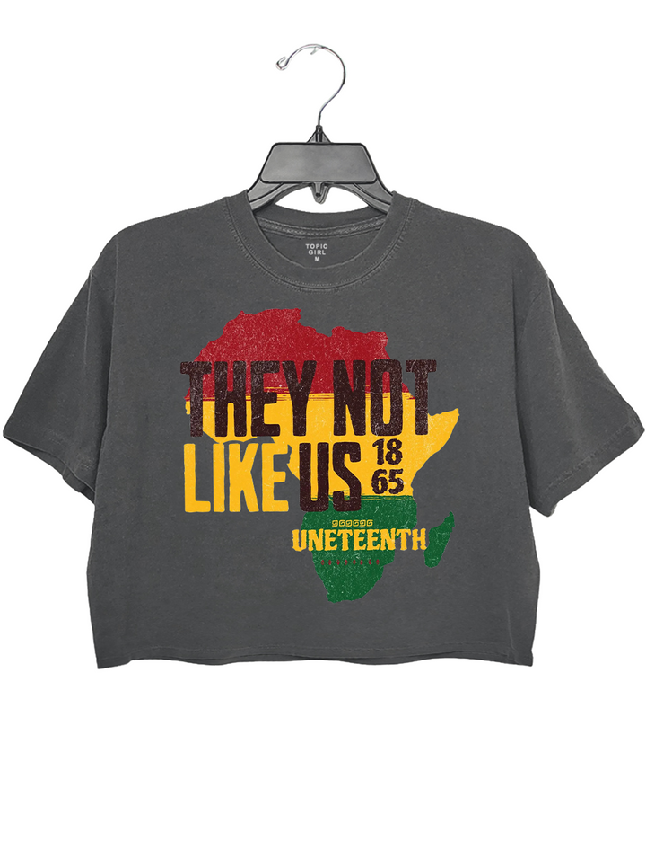 They Not Like Us Crop Top