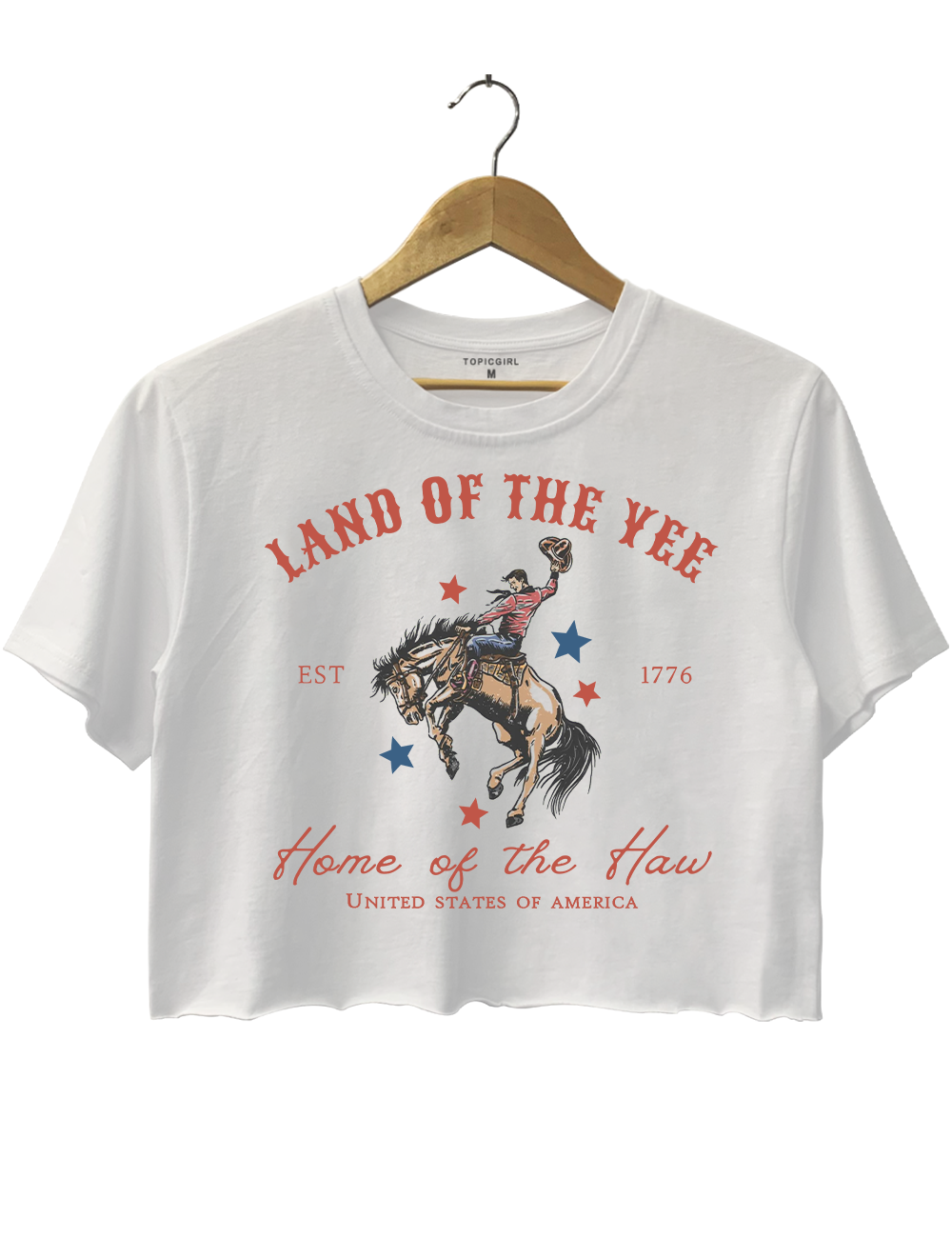 Vestern 4th of July Crop Top