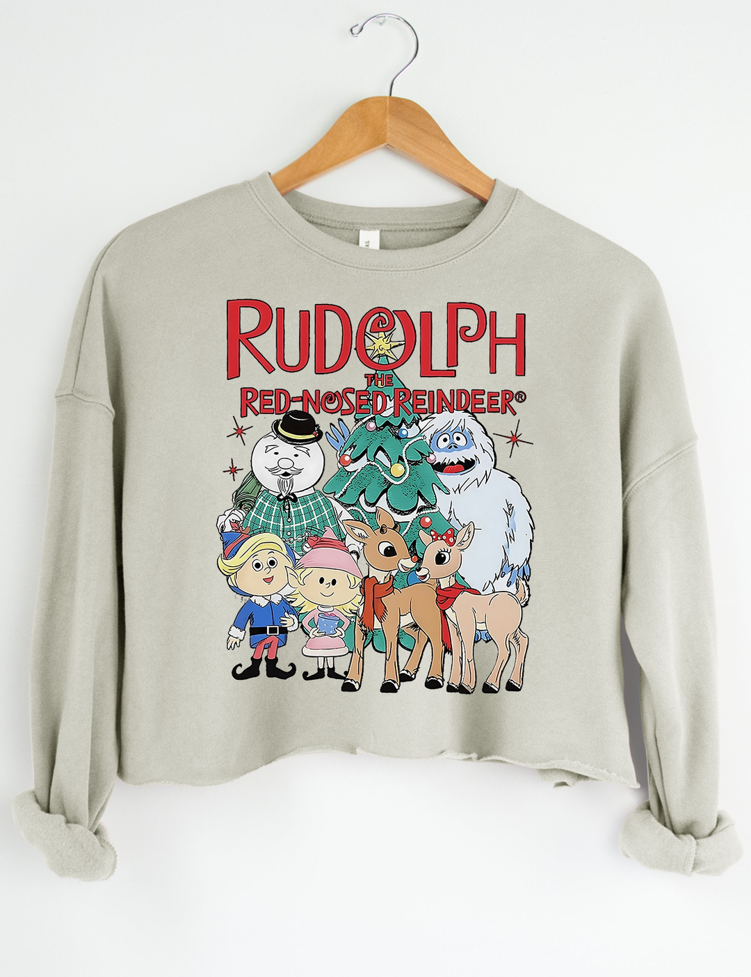 Cropped Rudolph Rudolph The Red Nosed Reindeer Christmas Crop Top – Topicgirl