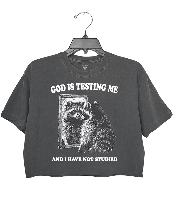 God Is Testing Me And I Have Not Studied Crop Top