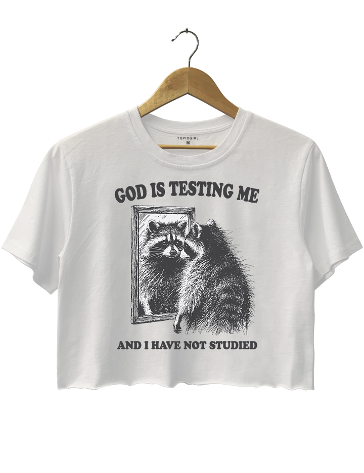 God Is Testing Me And I Have Not Studied Crop Top