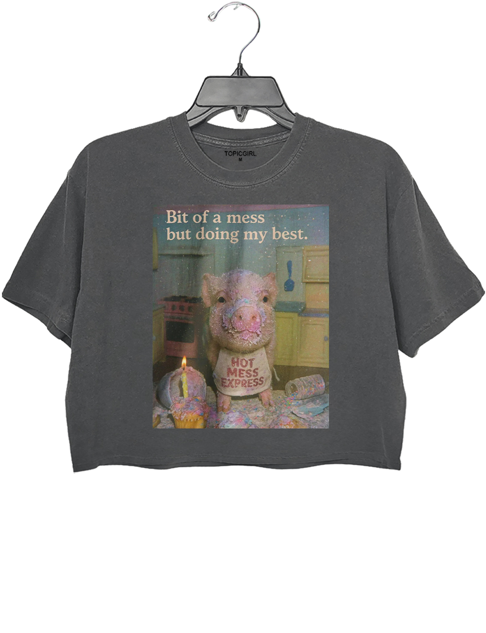 Cute Pig Bit Of A Mess but Doing My Best Crop Top