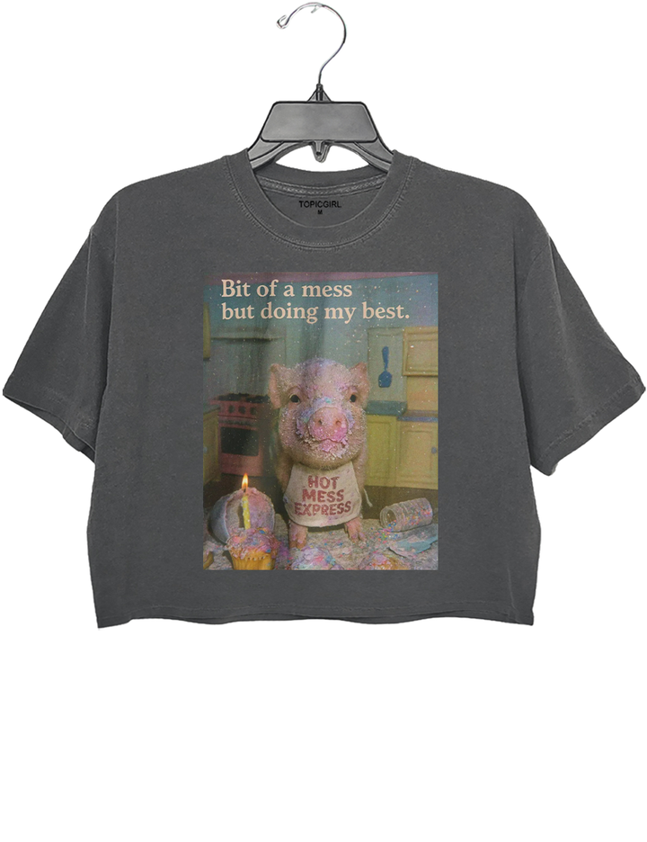 Cute Pig Bit Of A Mess but Doing My Best Crop Top