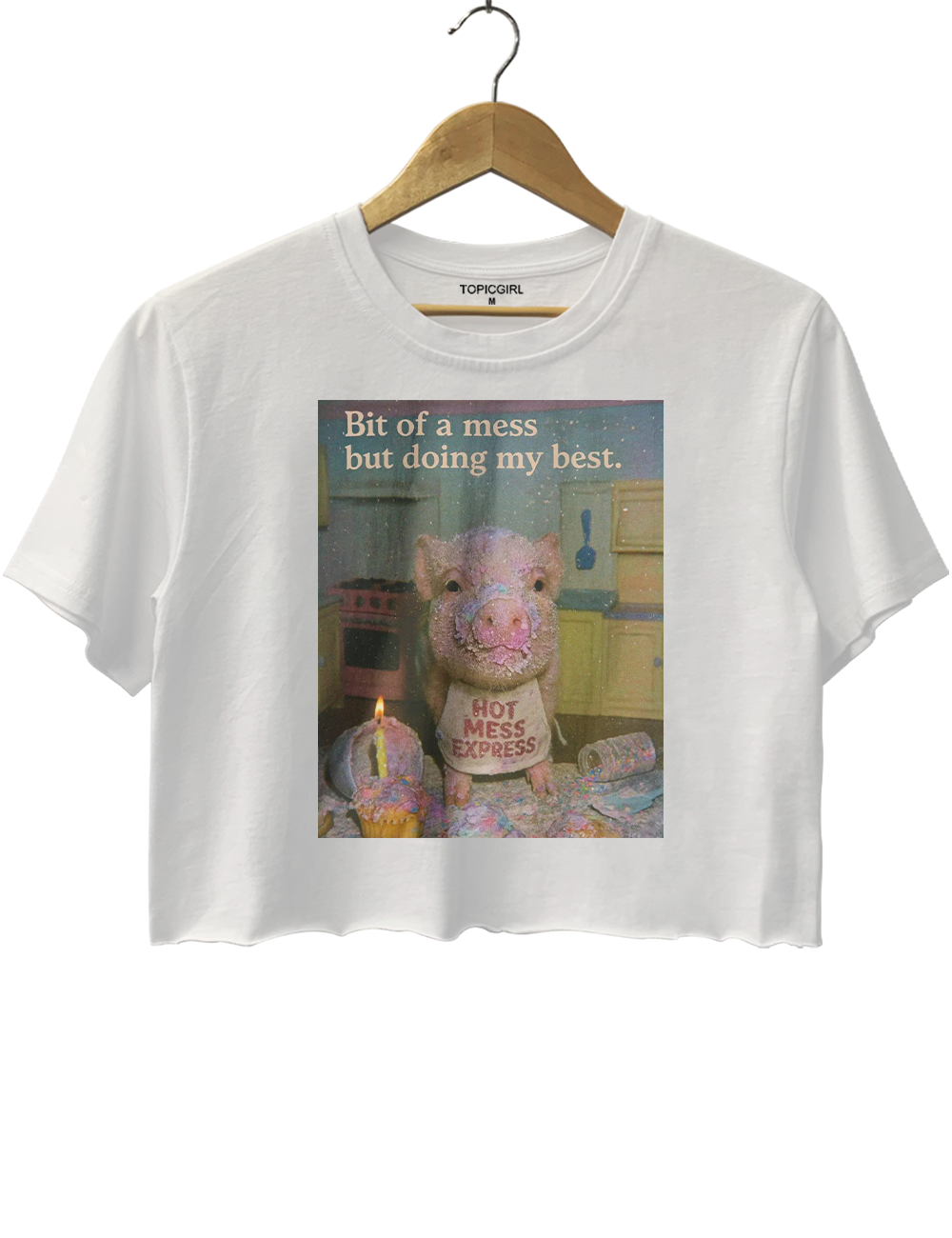 Cute Pig Bit Of A Mess but Doing My Best Crop Top