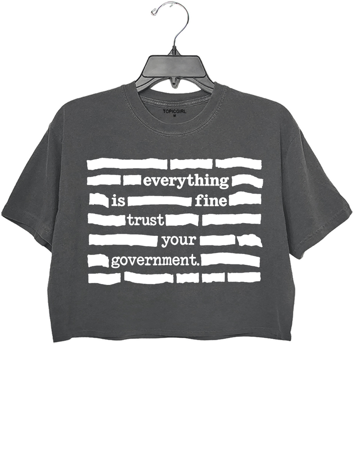 Everything Is Fine Trust Your Government Crop Top