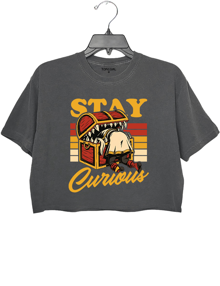 Frieren Elf Anime Treasure Stay Curious Crop Top