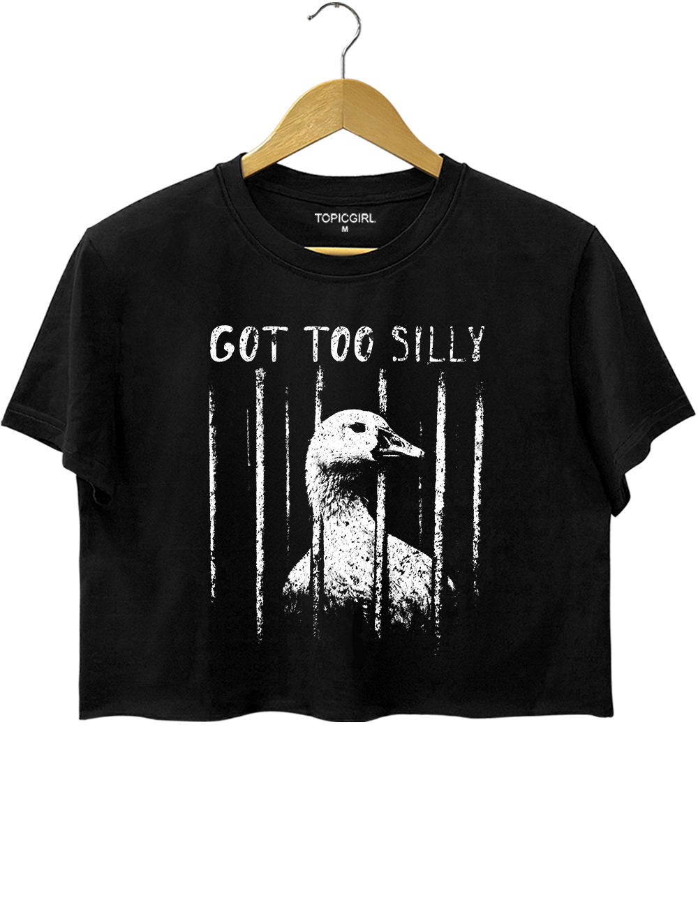 Funny Got Too Silly Crop Top