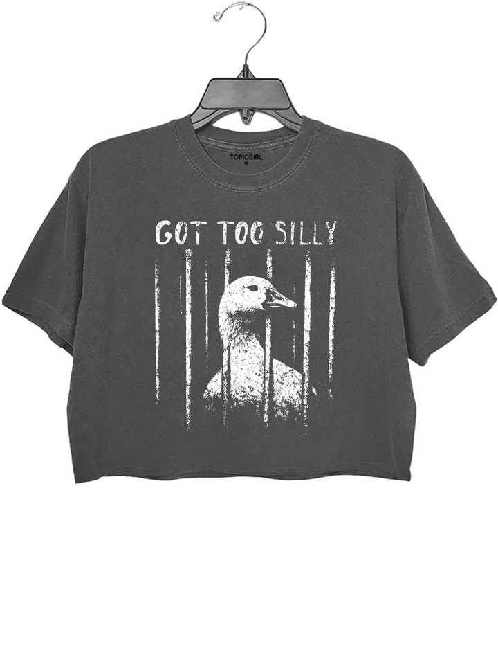 Funny Got Too Silly Crop Top