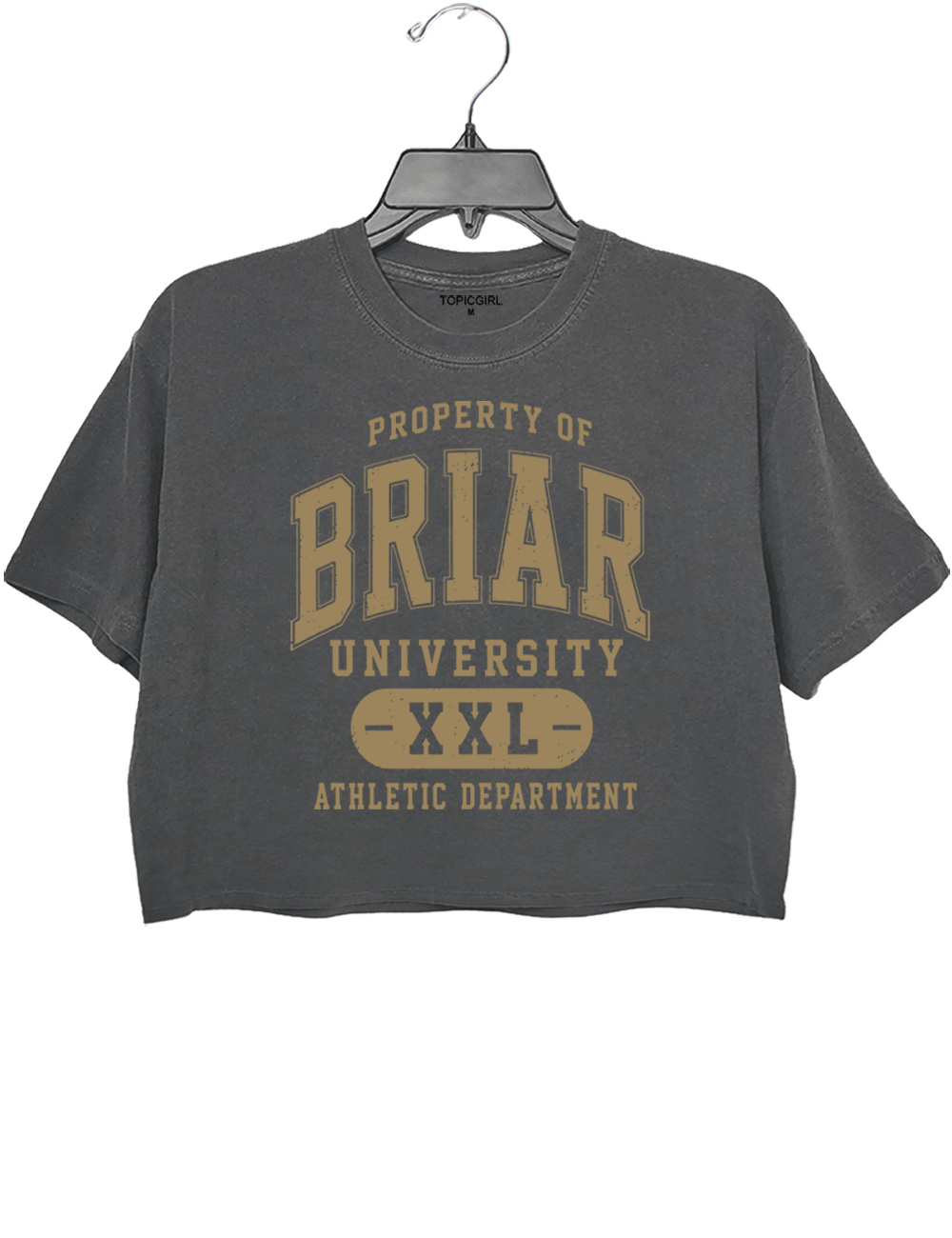Campus Series Romance Reader Crop Top