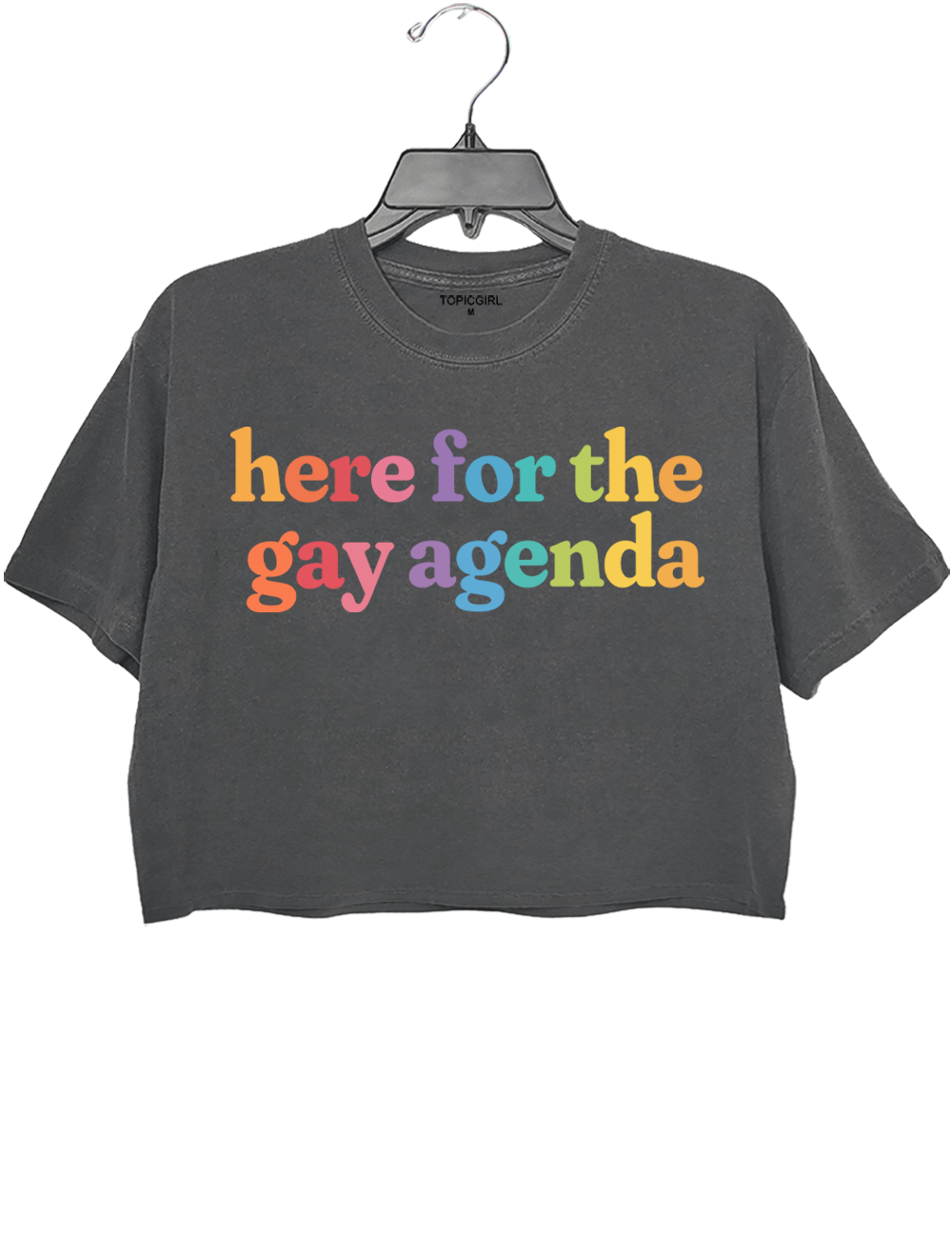 Here For The Gay Agenda LGBT Crop Top