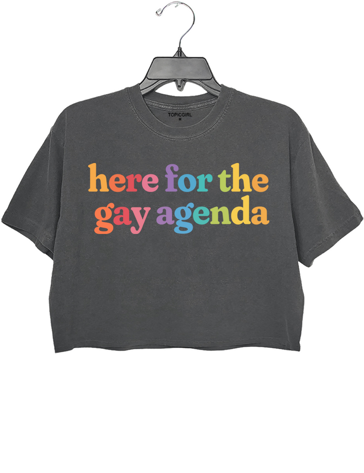Here For The Gay Agenda LGBT Crop Top