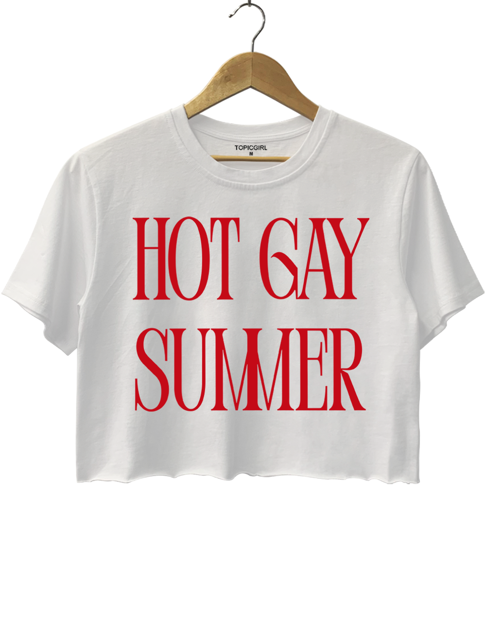 Hot Gay Summer Crop Top