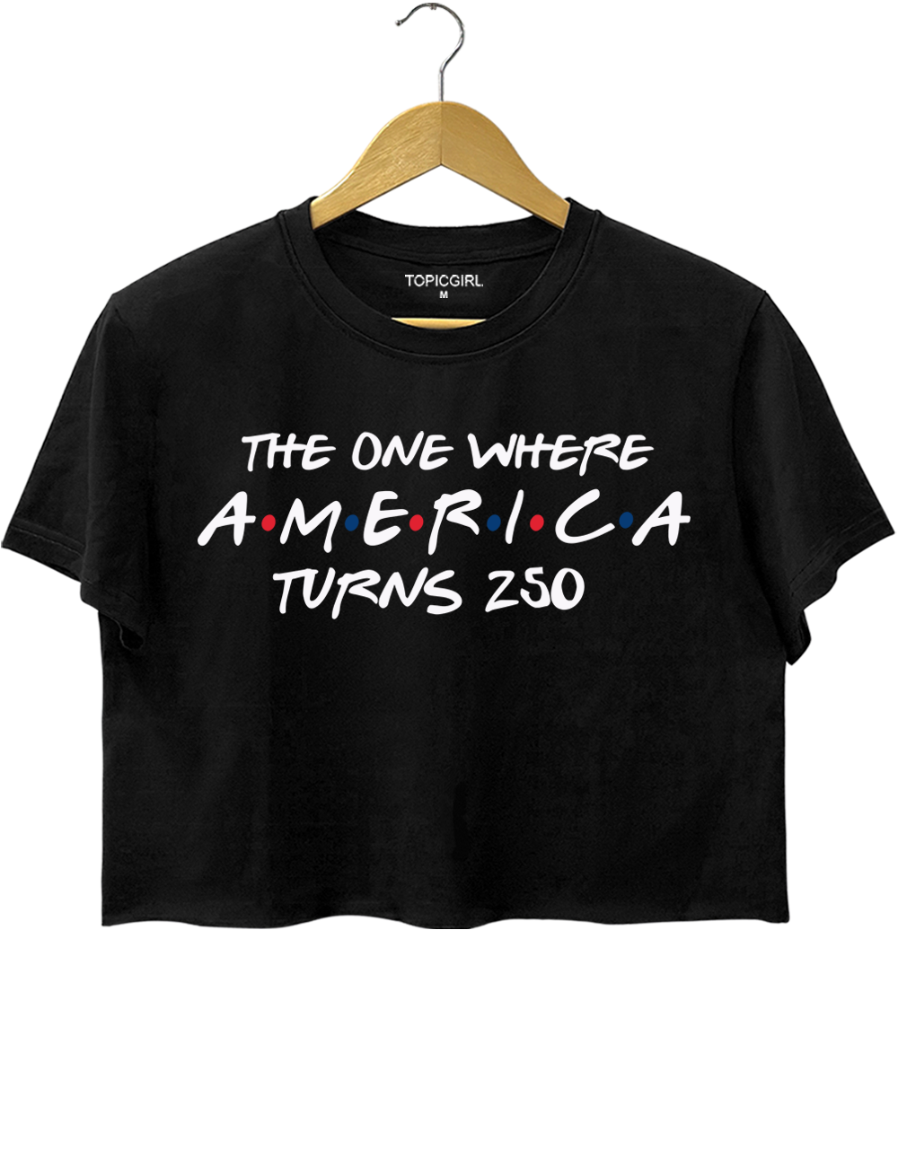 The One Where America Turns 250 Years Crop Top