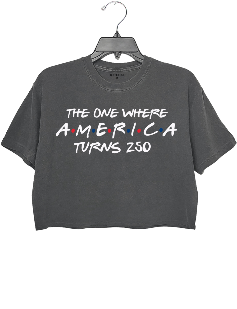 The One Where America Turns 250 Years Crop Top