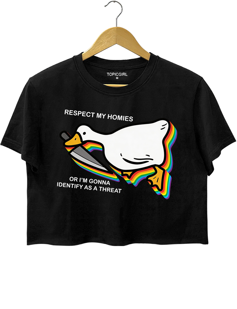 Silly Goose Ally Pride Crop Top