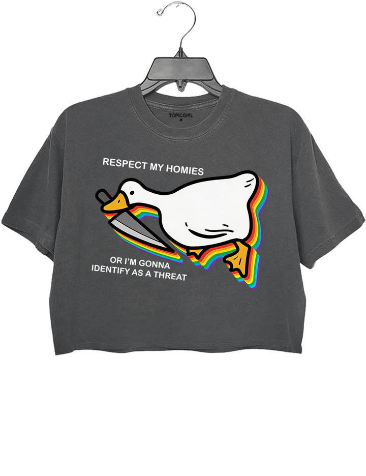 Silly Goose Ally Pride Crop Top