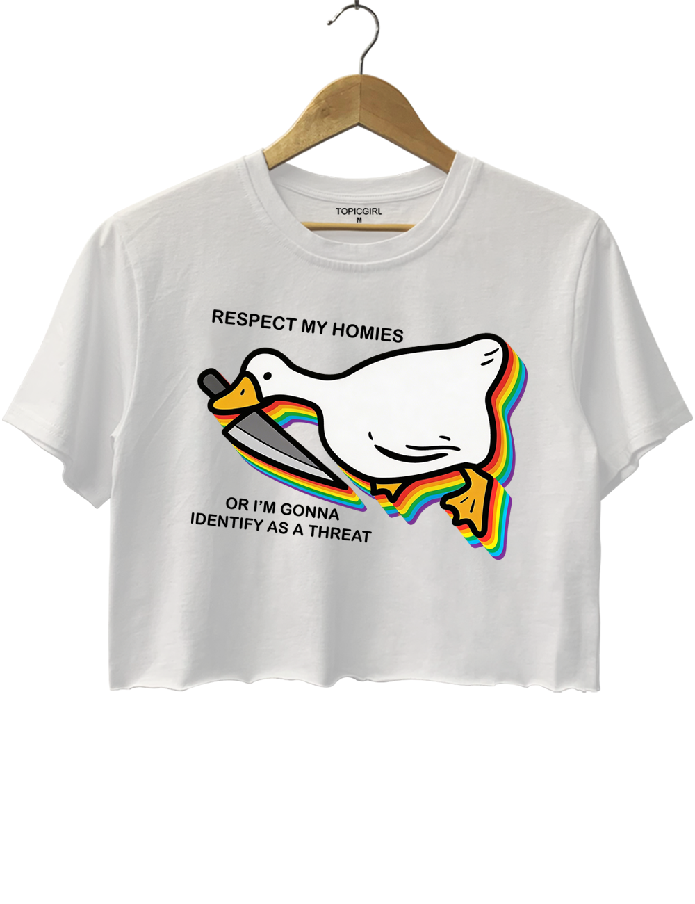 Silly Goose Ally Pride Crop Top