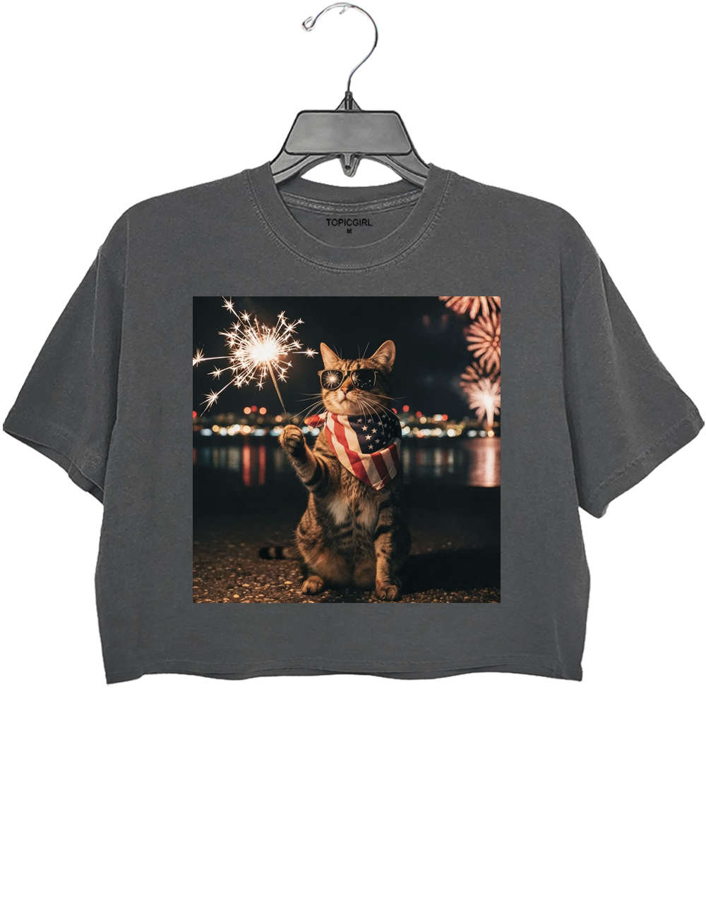 4th Of July Funny Cat Crop Top