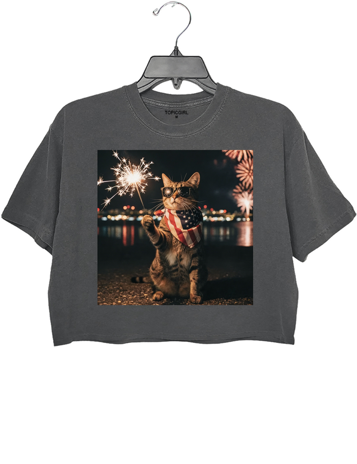 4th Of July Funny Cat Crop Top