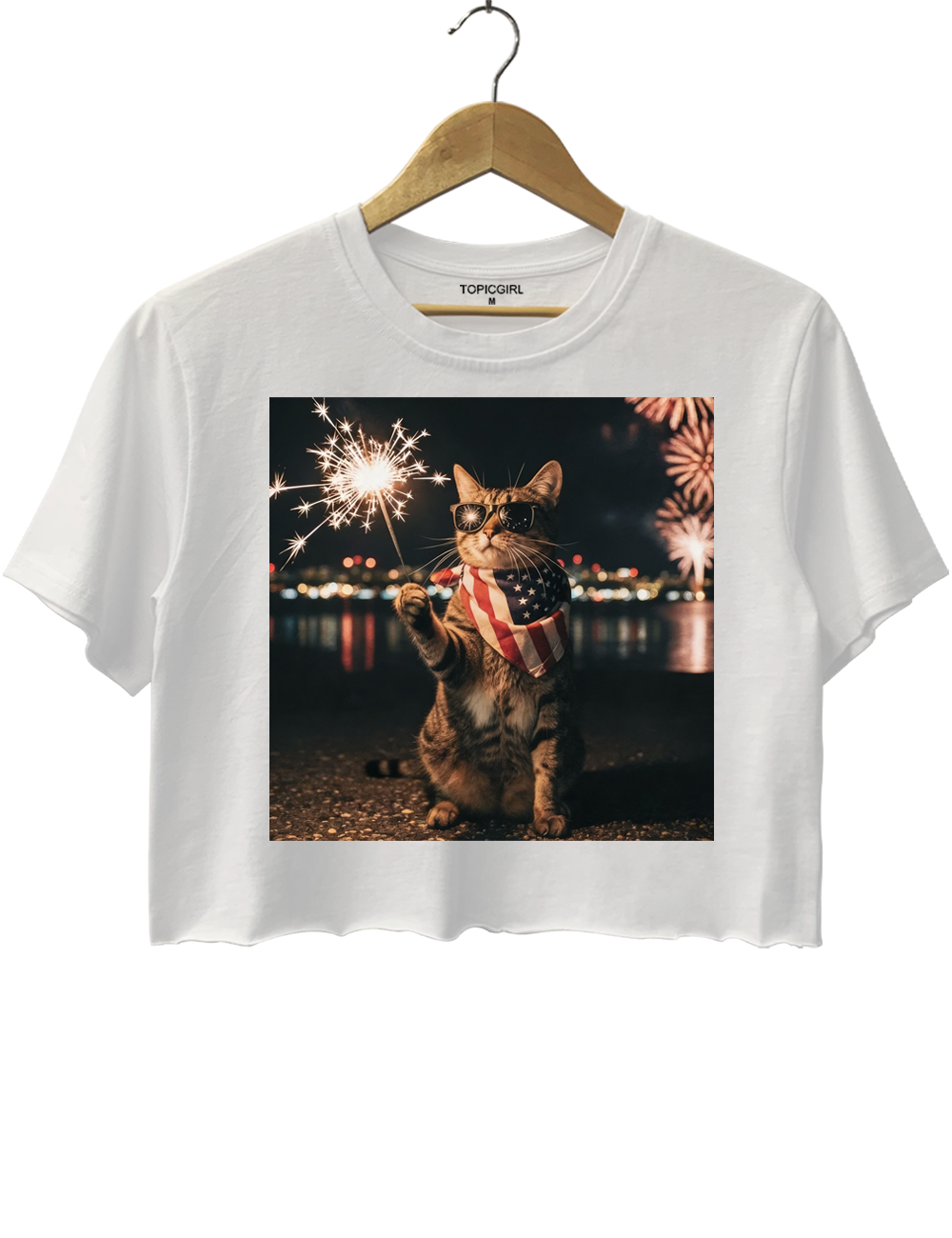 4th Of July Funny Cat Crop Top