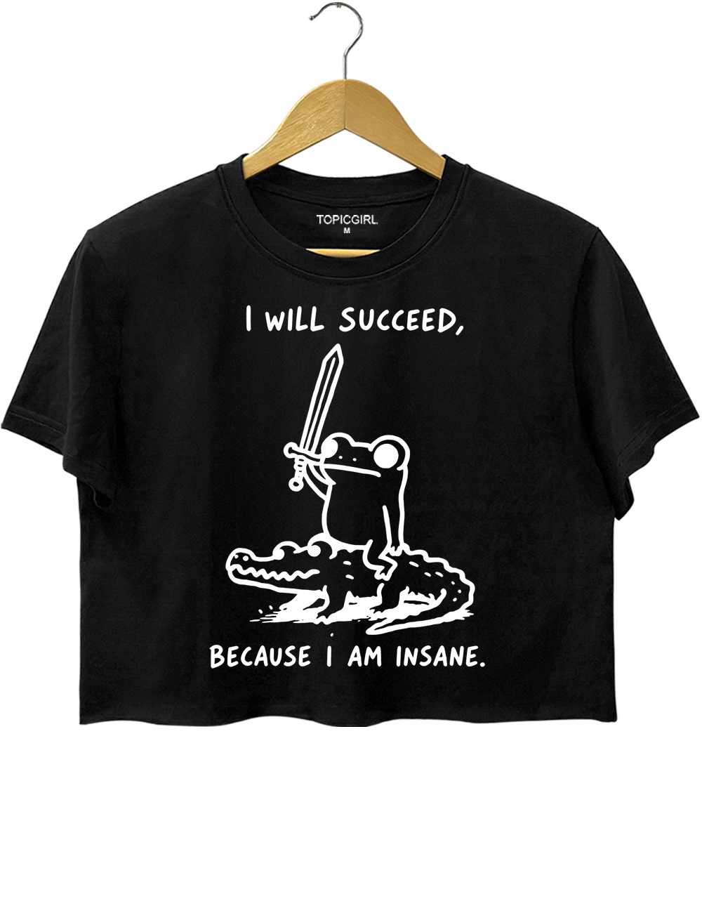 I Will Succeed Because I Am Insane Crop Top