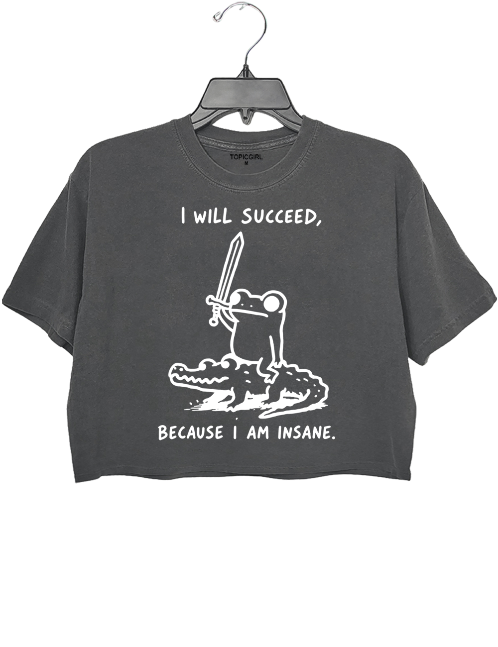 I Will Succeed Because I Am Insane Crop Top