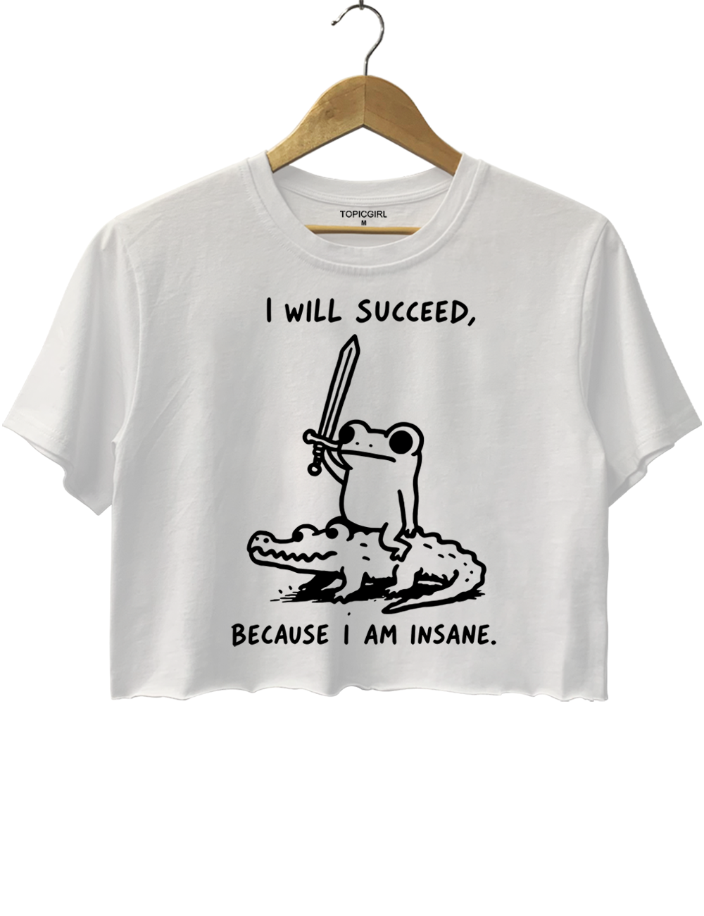 I Will Succeed Because I Am Insane Crop Top