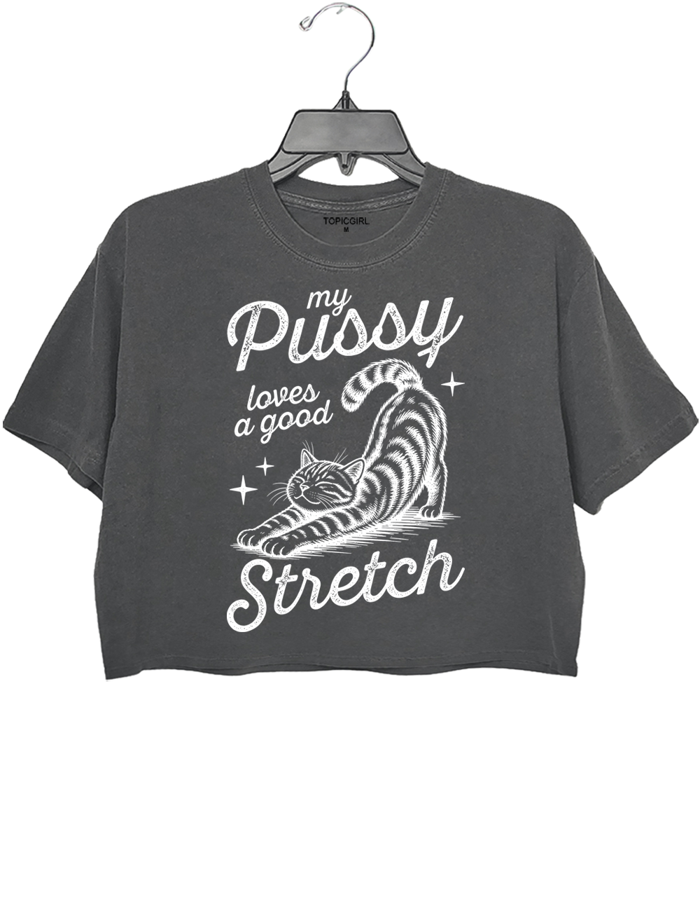 My Pussy Loves A Good Stretch Crop Top