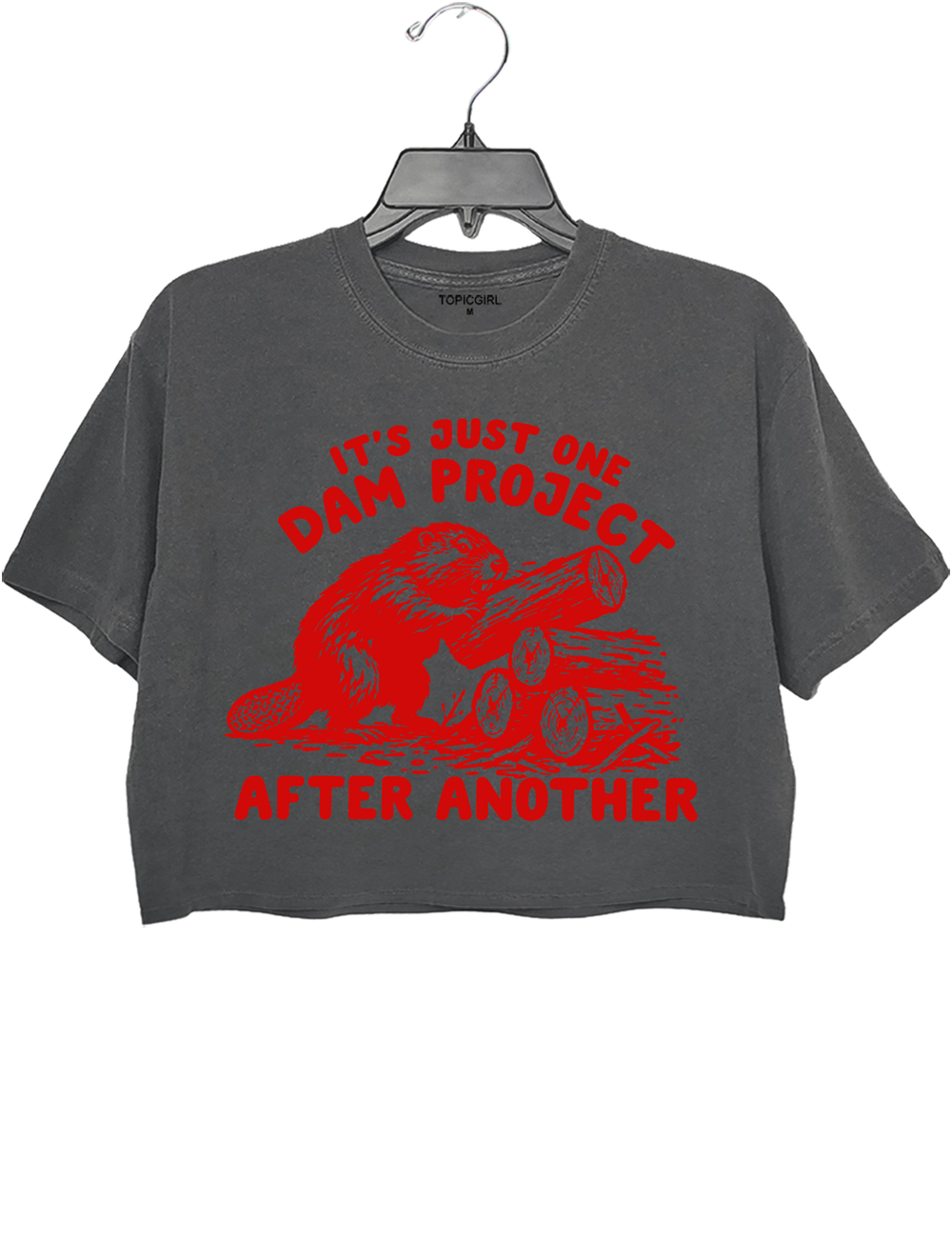 It's Just One Dam Project After Another Crop Top - Gray