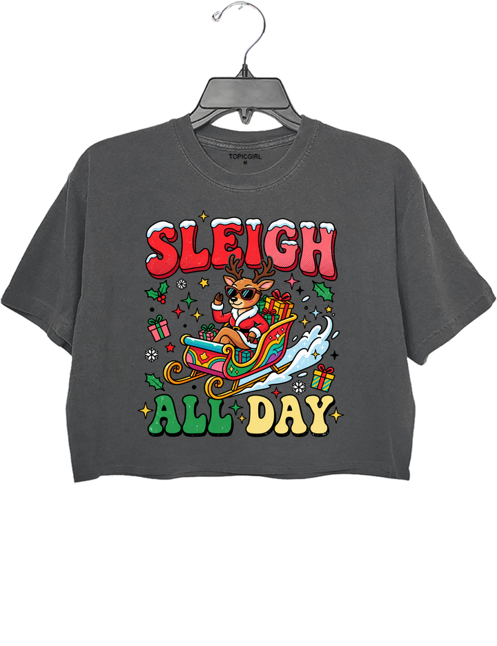 Sleigh All Day Retro Christmas Crop Top - Gray
