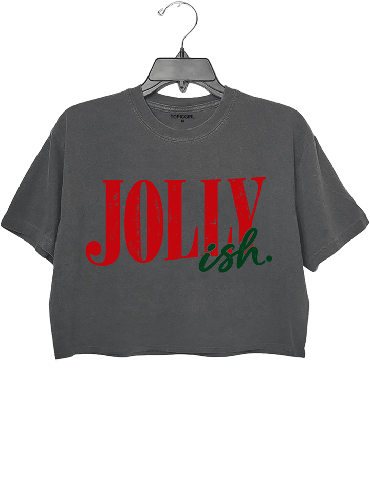 Jolly Ish Crop Top - Gray