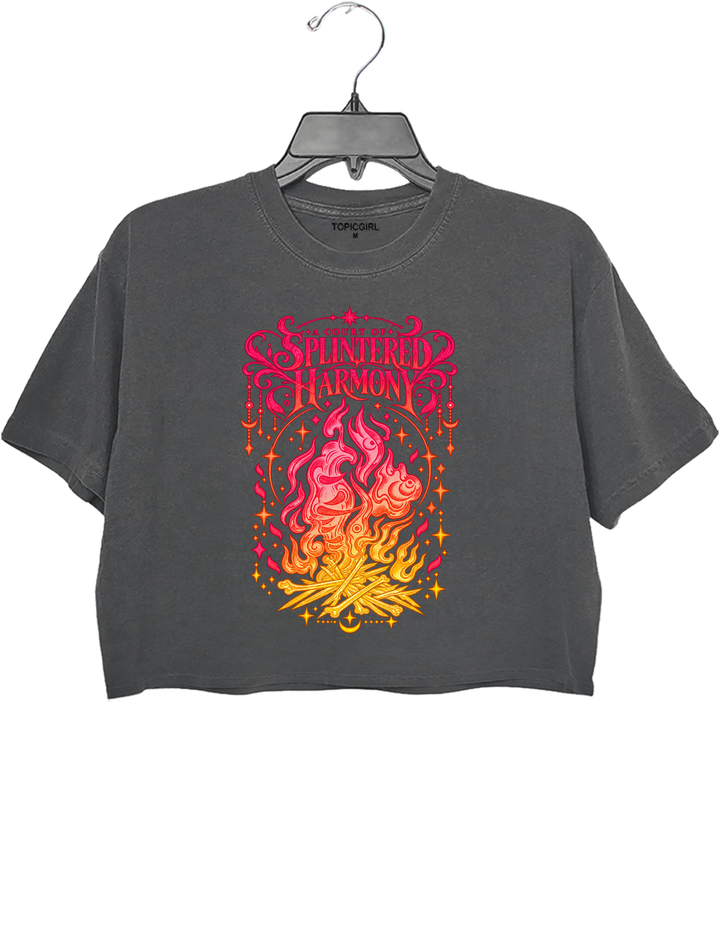 A Court Of Splintered Harmony Crop Top - Gray