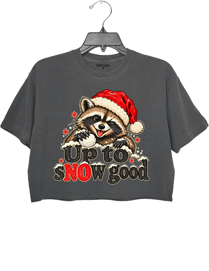 Funny Up To Snow Good Raccoon Christmas Crop Top - Gray