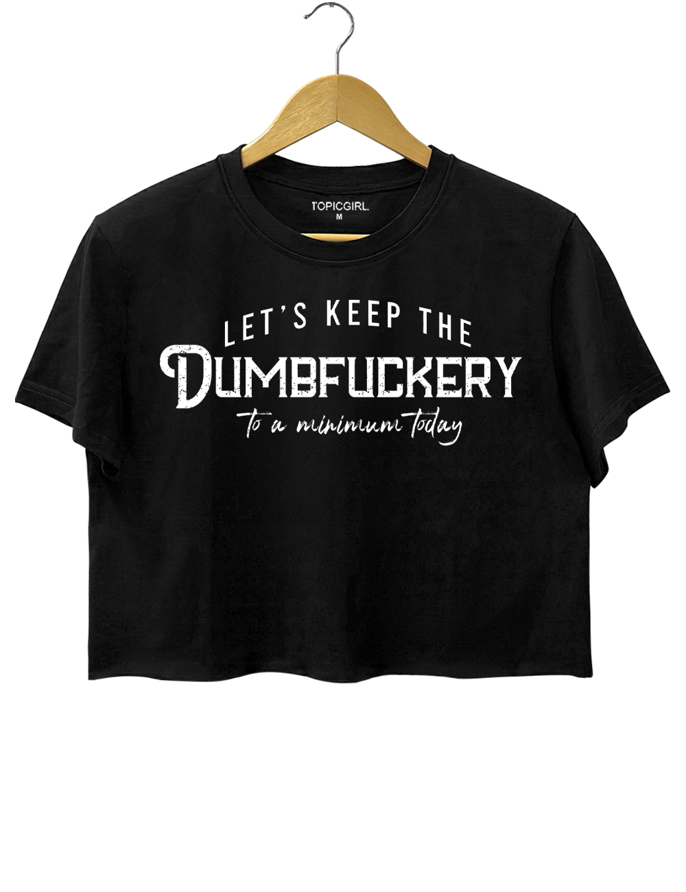 Let's Keep The Dumbfuckery To a Minimum Today Crop Top