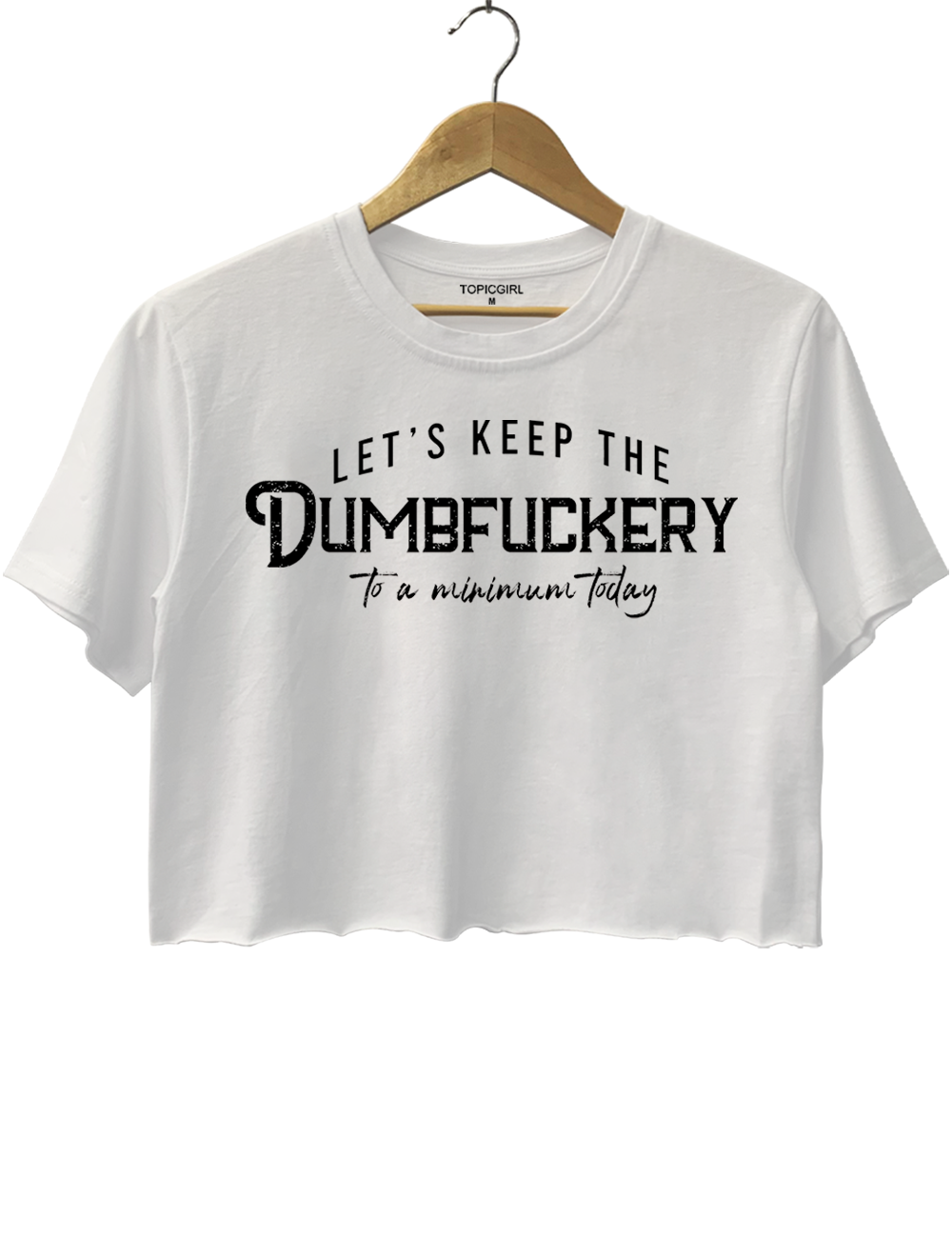 Let's Keep The Dumbfuckery To a Minimum Today Crop Top