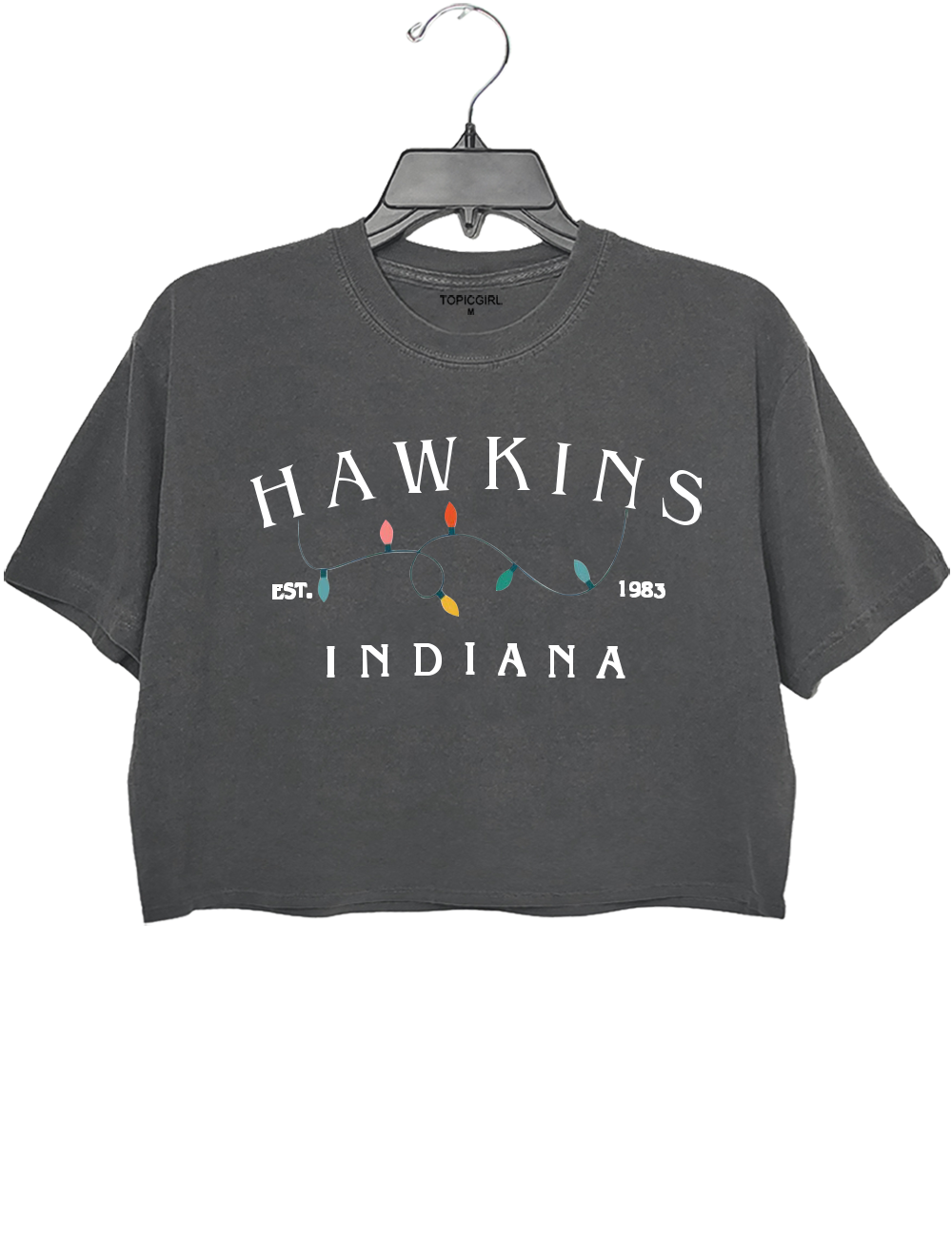 Stranger Things HAWKINS INDIANA Crop Top