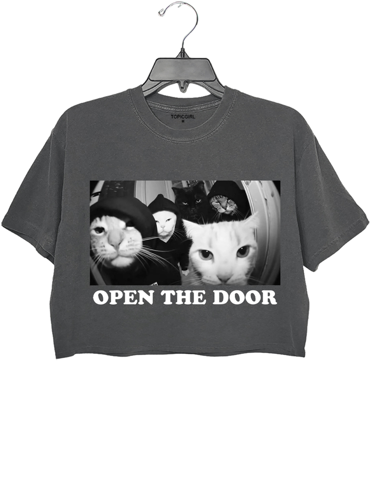Open The Door Crop Top