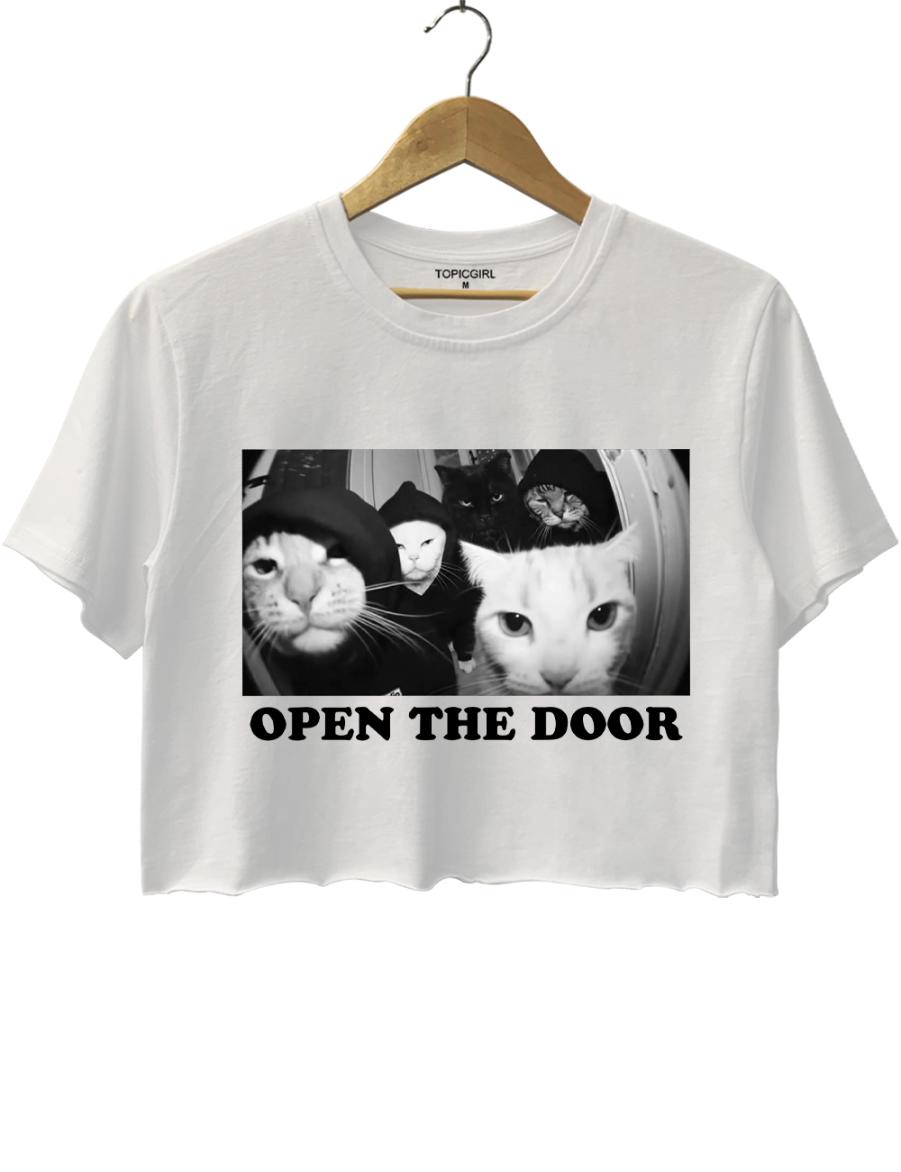 Open The Door Crop Top