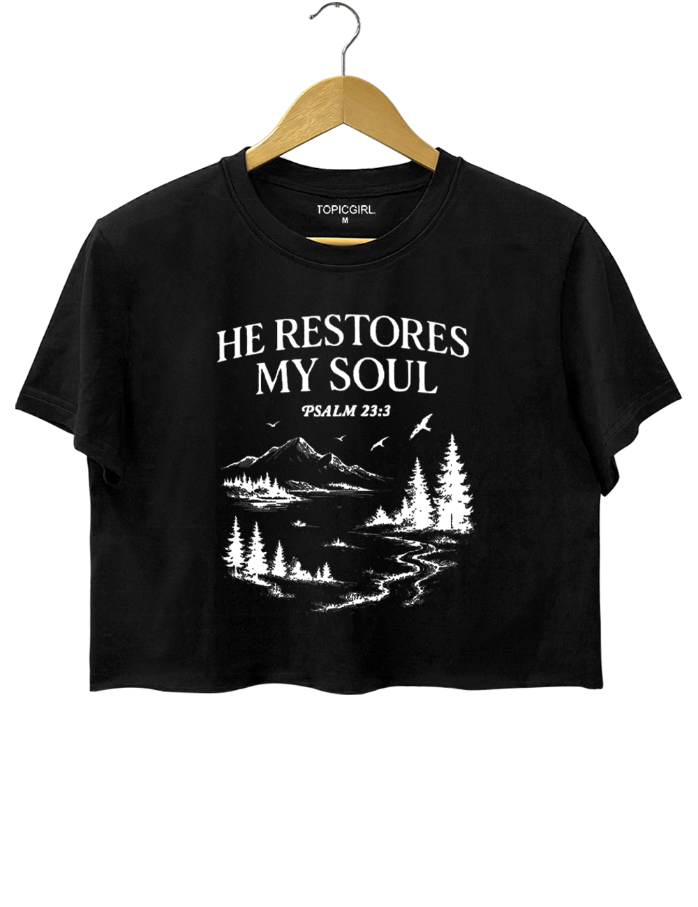 He Restore My Soul Crop Top