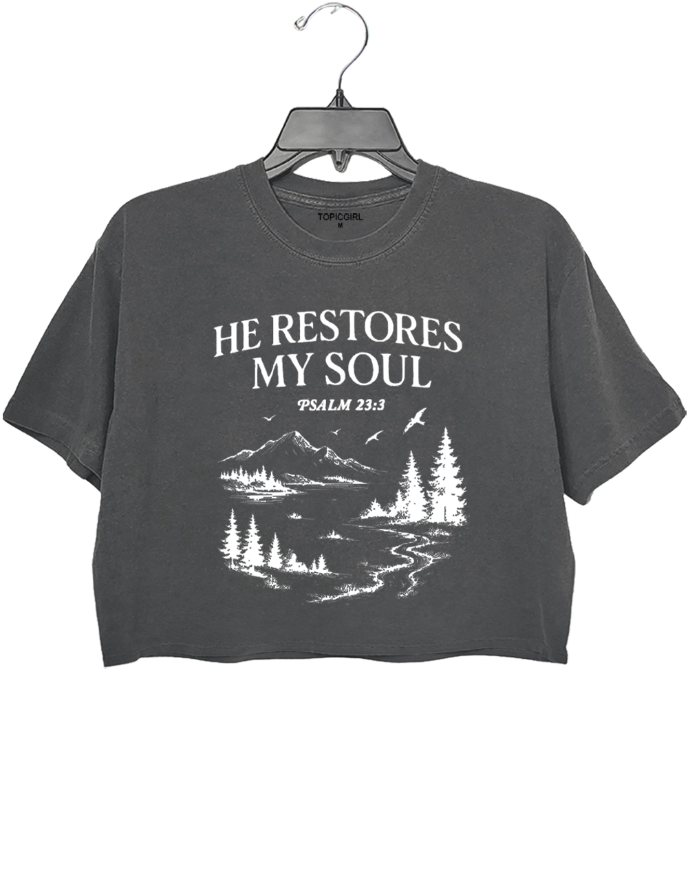 He Restore My Soul Crop Top