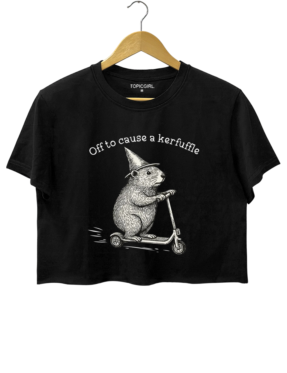 Off To Cause A Kerfuffle Crop Top