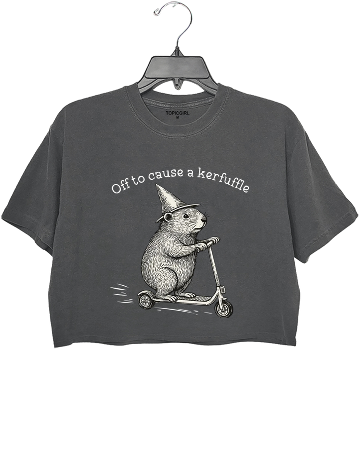 Off To Cause A Kerfuffle Crop Top