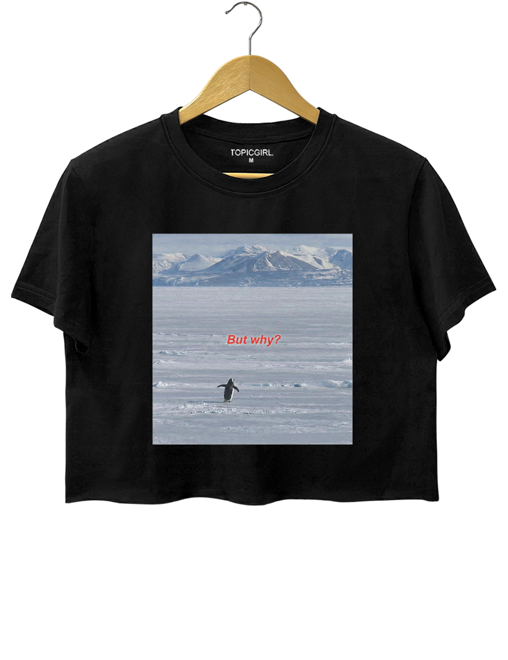 But Why Nihilist Penguin Crop Top