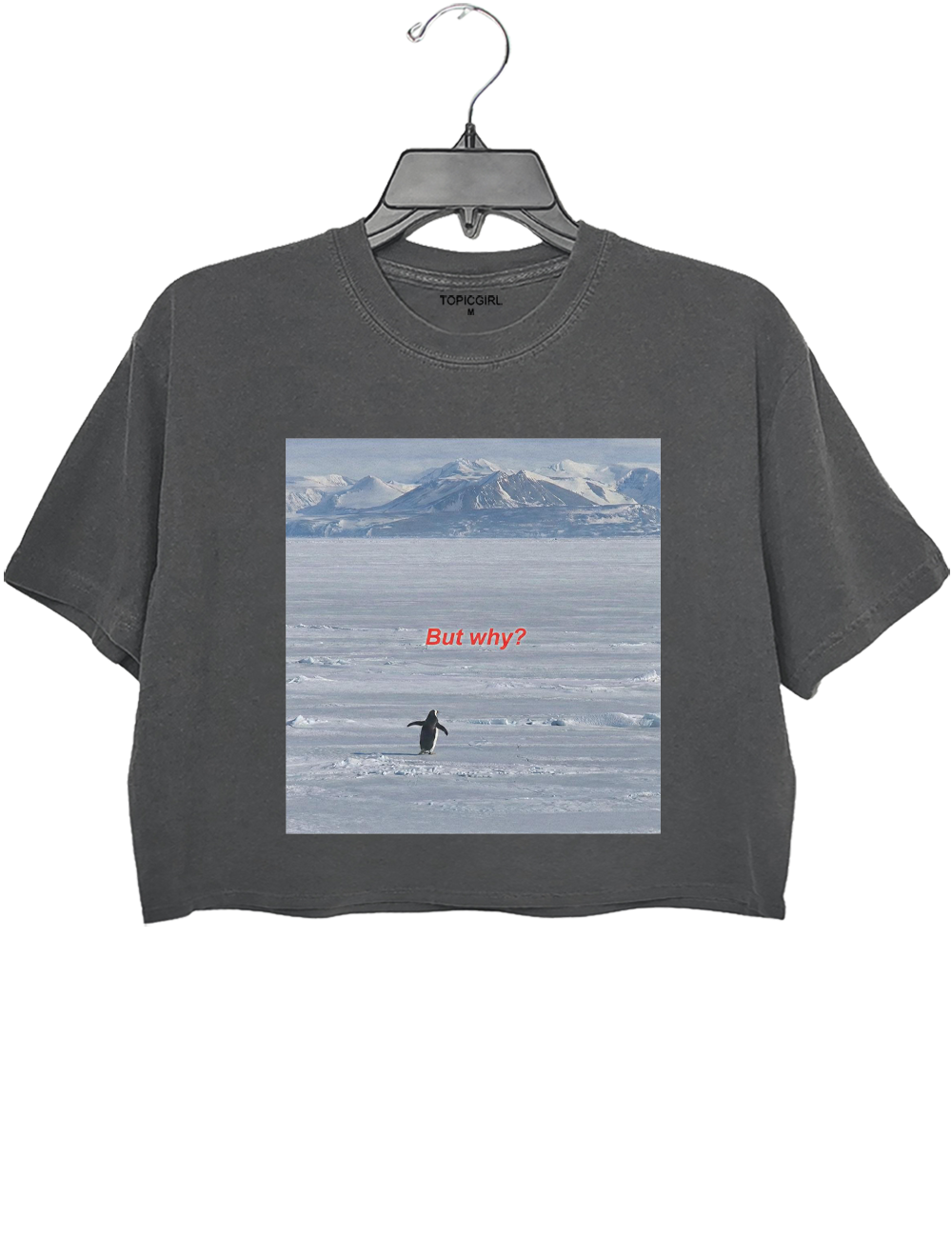 But Why Nihilist Penguin Crop Top