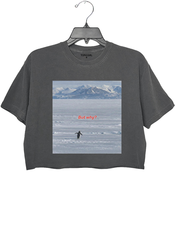 But Why Nihilist Penguin Crop Top
