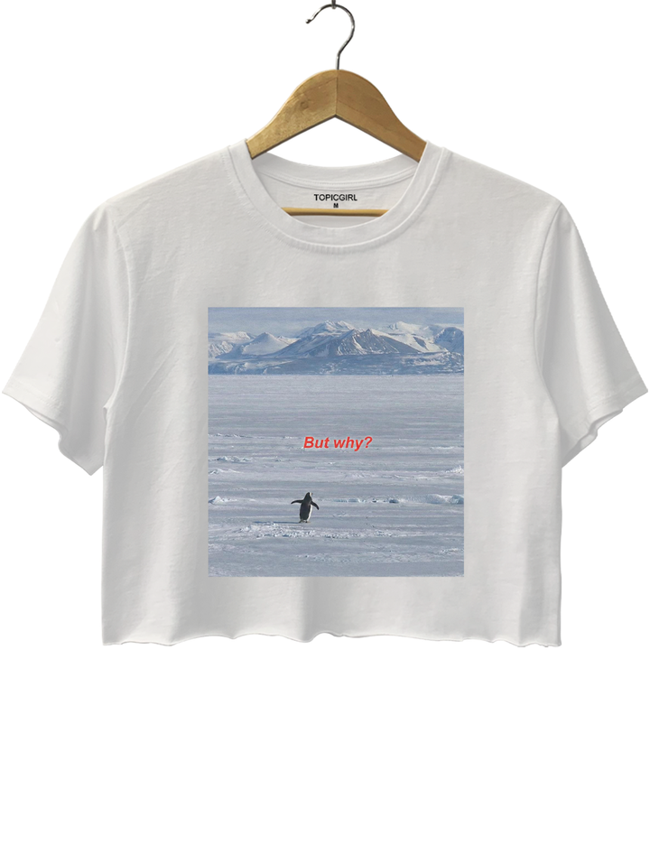 But Why Nihilist Penguin Crop Top