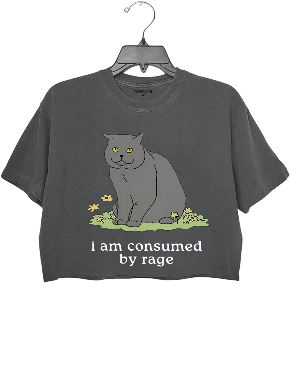 I Am Consumed By Rage Crop Top